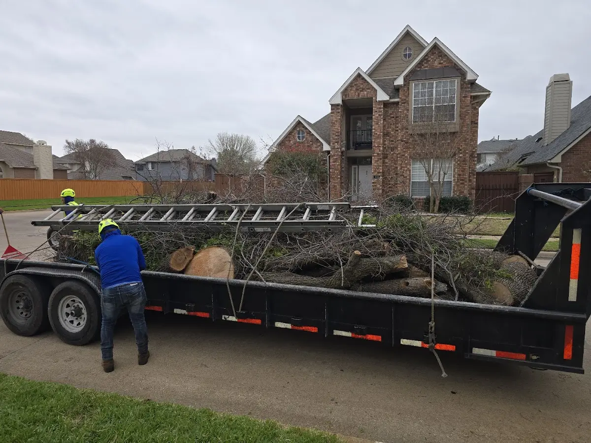 Expert Tree Fertilization with proper safety equipment in Kyburz